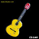 GAMBLGUITAR2 – Flashing Magnetic Acoustic Guitar