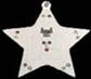 GAMBLSTARRB - Flashing Magnetic Star with neck cord