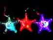 GAFSF - Flashing Star Fish with Neck Cord