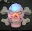 GAFSKULL1